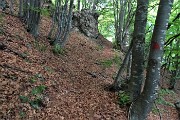 52 Riprendo il sentiero nella faggeta per il Pizzo Grande